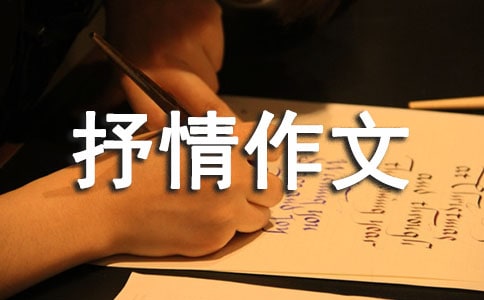 �����]���辰����������ƪ