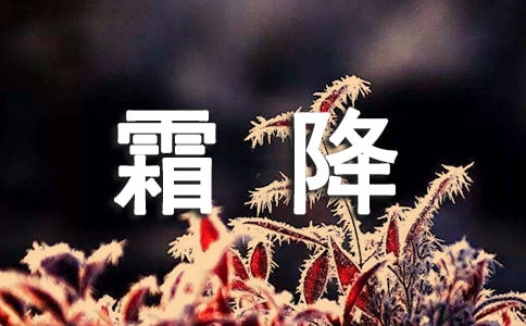 霜降節(jié)氣祝福語精選