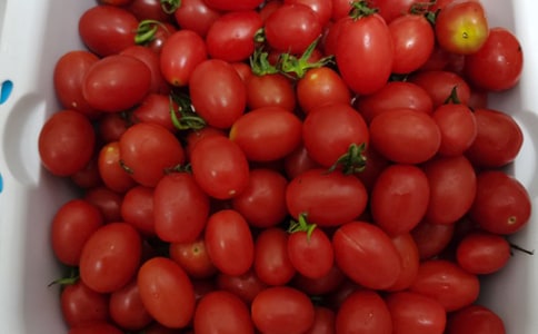 ��ɐۺ����ˮ���i�Z��ȫ����