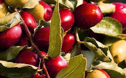 ʲôˮ���B(y��ng)θ