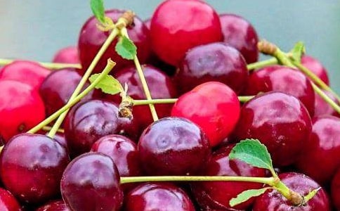 ����(y��u)��ʲôˮ���B(y��ng)θ