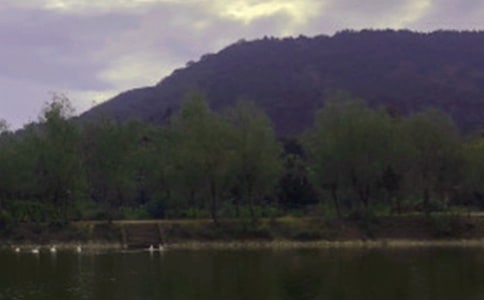 �Ν���ˮ������