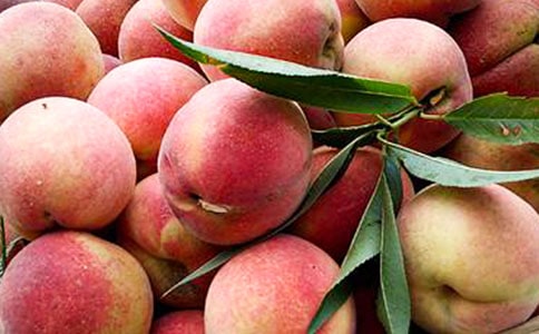 ��ˮ���ҵ����ģ����x25ƪ��