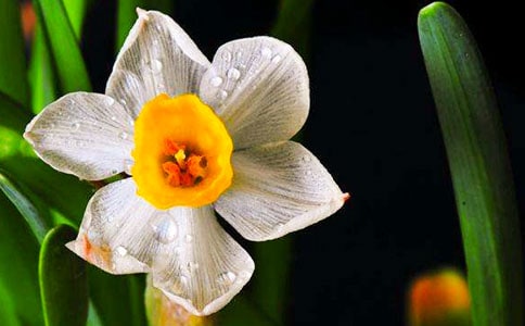 (�])ˮ�ɵ�����15ƪ