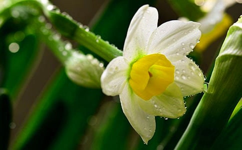 ˮ�ɵ����ı؂䡾15ƪ��