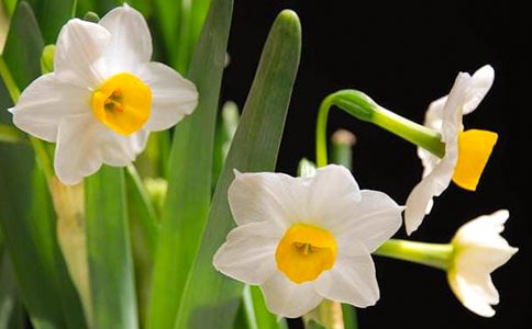 ˮ�ɵ����ġ�����15ƪ��