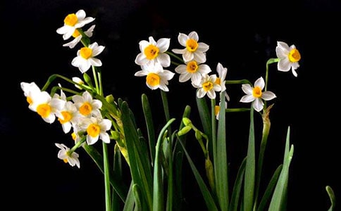 �Ґ���ˮ������