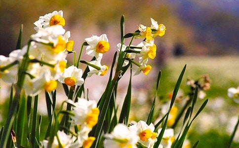 �����T��ˮ�ɻ�����