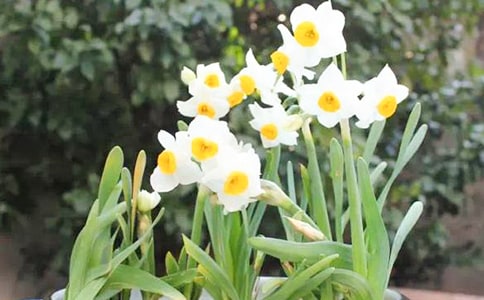 ˮ�ɻ����ģ���(j��ng)��15ƪ��