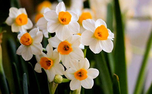 ˮ�ɻ��貨��������