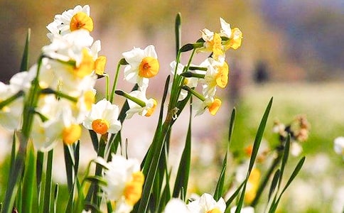 ������ˮ�ɻ����ľ�Ʒ[15ƪ]