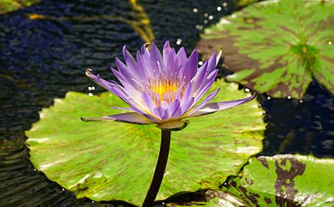 ˯ɏ�����ġ���(sh��)�á�