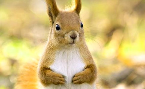 С�����һ�����˼15ƪ[�ϼ�]