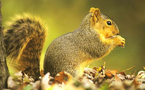 �����^�ӿ��D��Ԓ10ƪ���]��