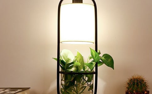 С�_��С�W(xu��)����