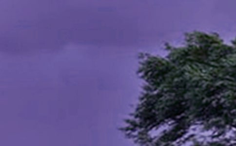 �_�L(f��ng)����