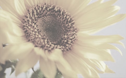 �����x��̫ꖻ�������ƪ