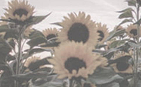 ����Ʒ��̫�(y��ng)��������3ƪ