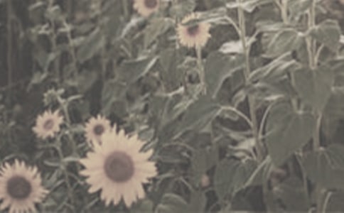 ���NһƬ̫ꖻ����̌W��ӛ