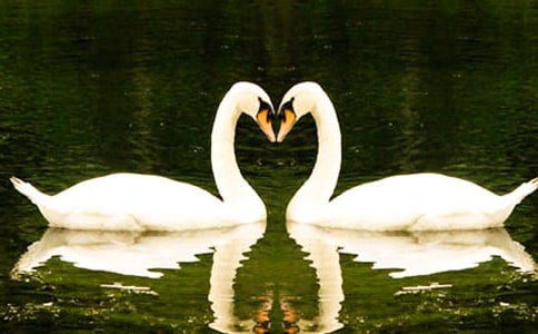 �������Z���^��У�ͨ��26ƪ��