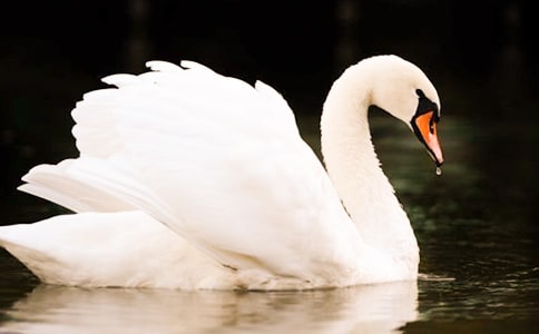 Ұ���Z�x���ͨ��15ƪ