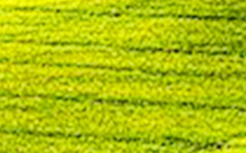 �S�յ���Ұ����7ƪ[���A]