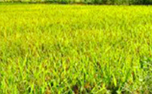 ����Ұ�ϓ쵽�ġ��_(k��i)�ġ�