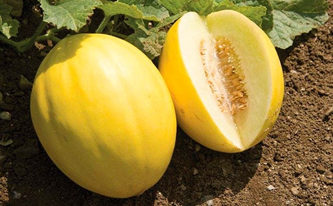 ��ϵ���������Щ