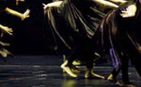 愛(ài)跳舞的女孩作文