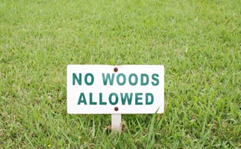 �P(gu��n)���_չ�������ε�ͨ��