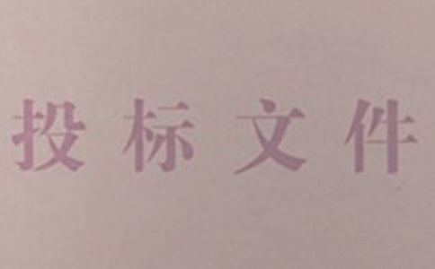 投標(biāo)工作總結(jié)