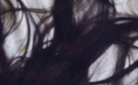 ��(m��ng)Ҋ(ji��n)�^�l(f��)ȫ������ʲô��˼