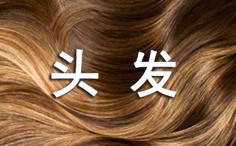 ���^�l(f��)���ģ��؂�5ƪ��