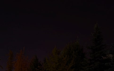 ����ף������