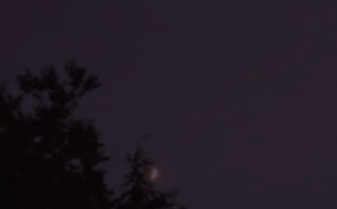 2026年簡(jiǎn)短的優(yōu)美的晚安朋友圈問候語匯總66條