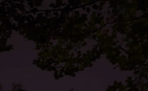 ��(ji��n)�����������Z(y��)����75��