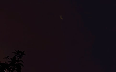 2024������ϵ���������Z���ż���59�l