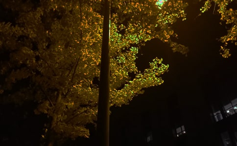 ���õ����������Z����47�l