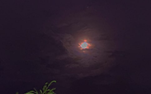 簡(jiǎn)潔的溫暖的晚安心語(yǔ)短信39句