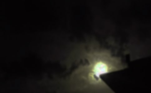 ���x��ů���������Z����29�l