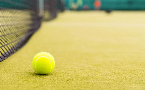 ��W(w��ng)�����ľ�Ʒ��9ƪ��