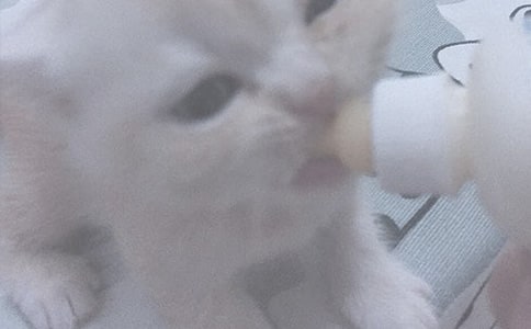 �������Զ����̷� ����ι�̷���Ҫע��ʲô