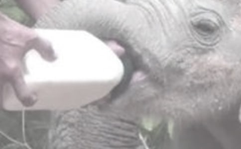 �a(ch��n)��l(f��)�����Խo����ι�̆���