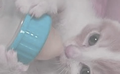 寶寶睡覺之前要不要喂奶