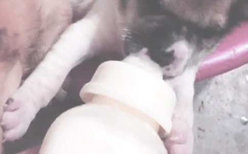 ι�̋냺��ϡ��ô�k