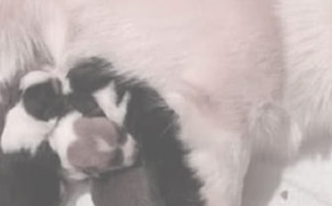 �냺ι�̕r(sh��)�g �������ƌW(xu��)ι�̕r(sh��)�g