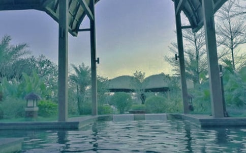 �P(gu��n)���ݜ�Ȫ������