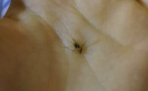 [ͨ��]����������