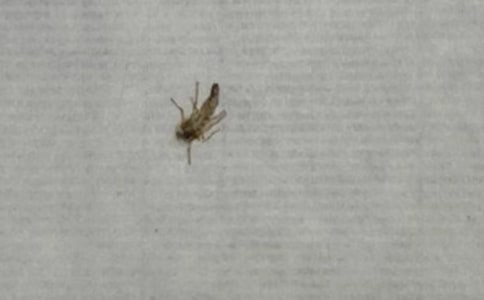 ���˵�����