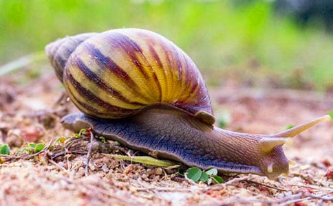 ��Ȥ��΁ţ����